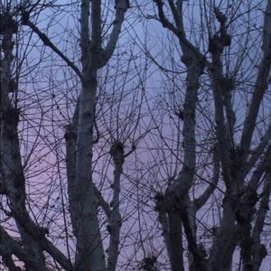 Meet your Posher, Rodrigo